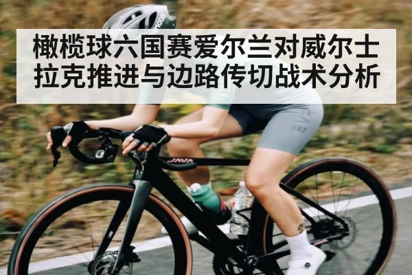 橄榄球六国赛爱尔兰对威尔士拉克推进与边路传切战术分析（ng28.com）